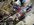 IMG_8840.jpeg