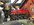IMG_8861.jpeg