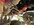 IMG_8864.jpeg