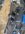 IMG_8449.jpeg