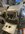 IMG_8453.jpeg