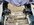 IMG_8830.jpeg