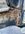 IMG_6021.jpeg