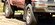 IMG_7208.jpeg