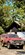IMG_7207.jpeg