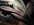 IMG_8625.jpeg