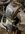 IMG_8624.jpeg