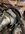 IMG_8622.jpeg
