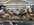IMG_8644.jpeg