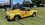 IMG_6525.jpeg