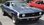 IMG_7224.jpeg