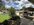 IMG_1799.jpeg