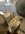 IMG_8480.jpeg