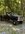 IMG_5447.jpeg