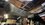 IMG_9074.jpeg