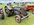 IMG_8056.jpeg