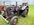 IMG_8057.jpeg