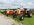 IMG_8069.jpeg