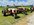 IMG_8080.jpeg