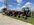 IMG_8096.jpeg