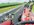 IMG_8102.jpeg