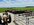 IMG_8121.jpeg