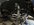 IMG_8658.jpeg