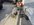 IMG_0825.jpeg