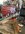 IMG_8486.jpeg