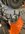 IMG_8487.jpeg