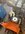 IMG_8488.jpeg