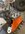 IMG_8489.jpeg