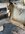 IMG_6150.jpeg