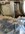 IMG_6158.jpeg
