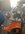 IMG_8496.jpeg