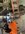 IMG_8499.jpeg