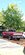 IMG_7537.jpeg