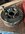 IMG_8006.jpeg