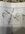 IMG_7995.jpeg