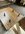 IMG_1830.jpeg
