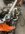 IMG_8503.jpeg