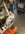 IMG_8506.jpeg