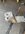IMG_8508.jpeg