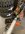 IMG_8510.jpeg