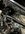 IMG_8686.jpeg