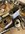 IMG_9647.jpeg
