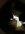 IMG_9644.jpeg