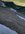 IMG_2350.jpeg