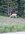 image000000.jpeg
