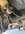 IMG_7221.jpeg IMG_7221.jpeg